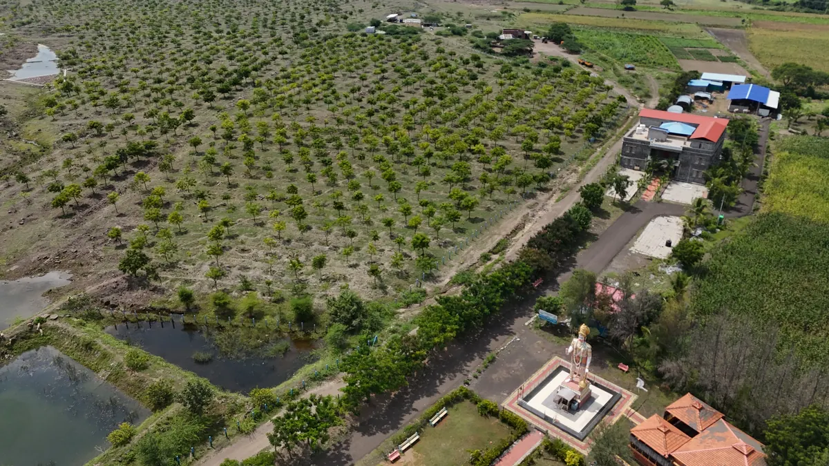 Karad Doddi forest - aerial view of 540 acres of plantation